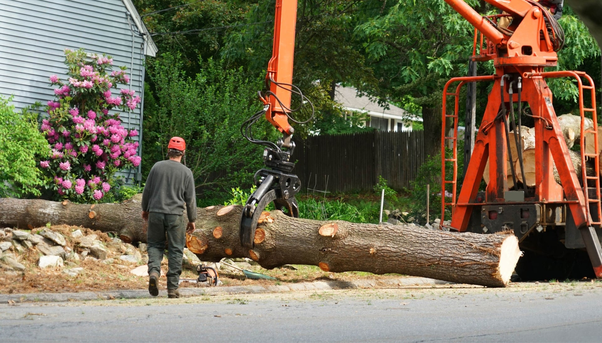 Local partner for Tree removal services in Louisville